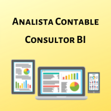 Analista Contables - Consultor BI - Bahia Blanca
